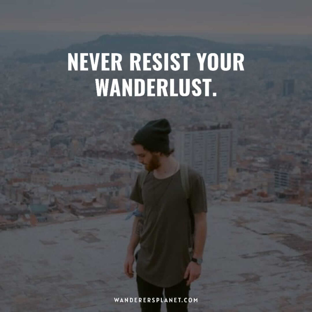 Wander quotes