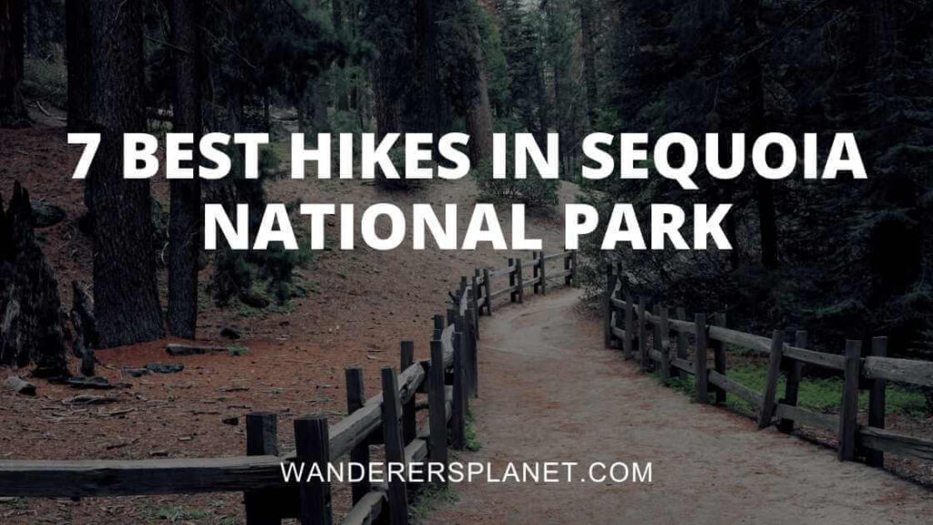 best hikes in sequoia national park