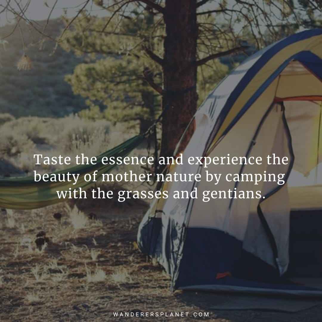 50 Beautiful Camping Captions For Instagram With Images