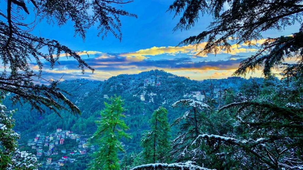 fun activities to do in Shimla