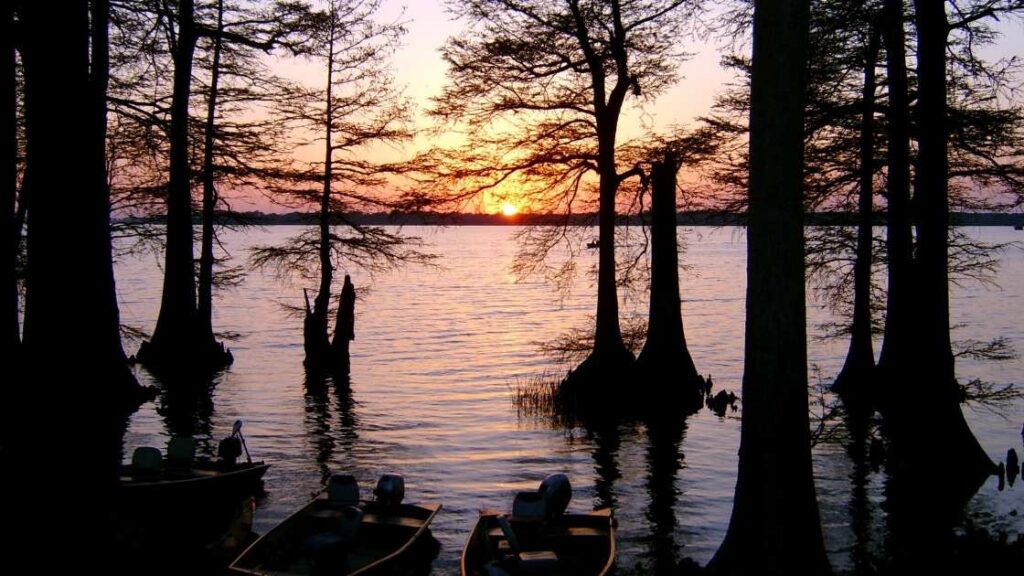 lakes in tennessee