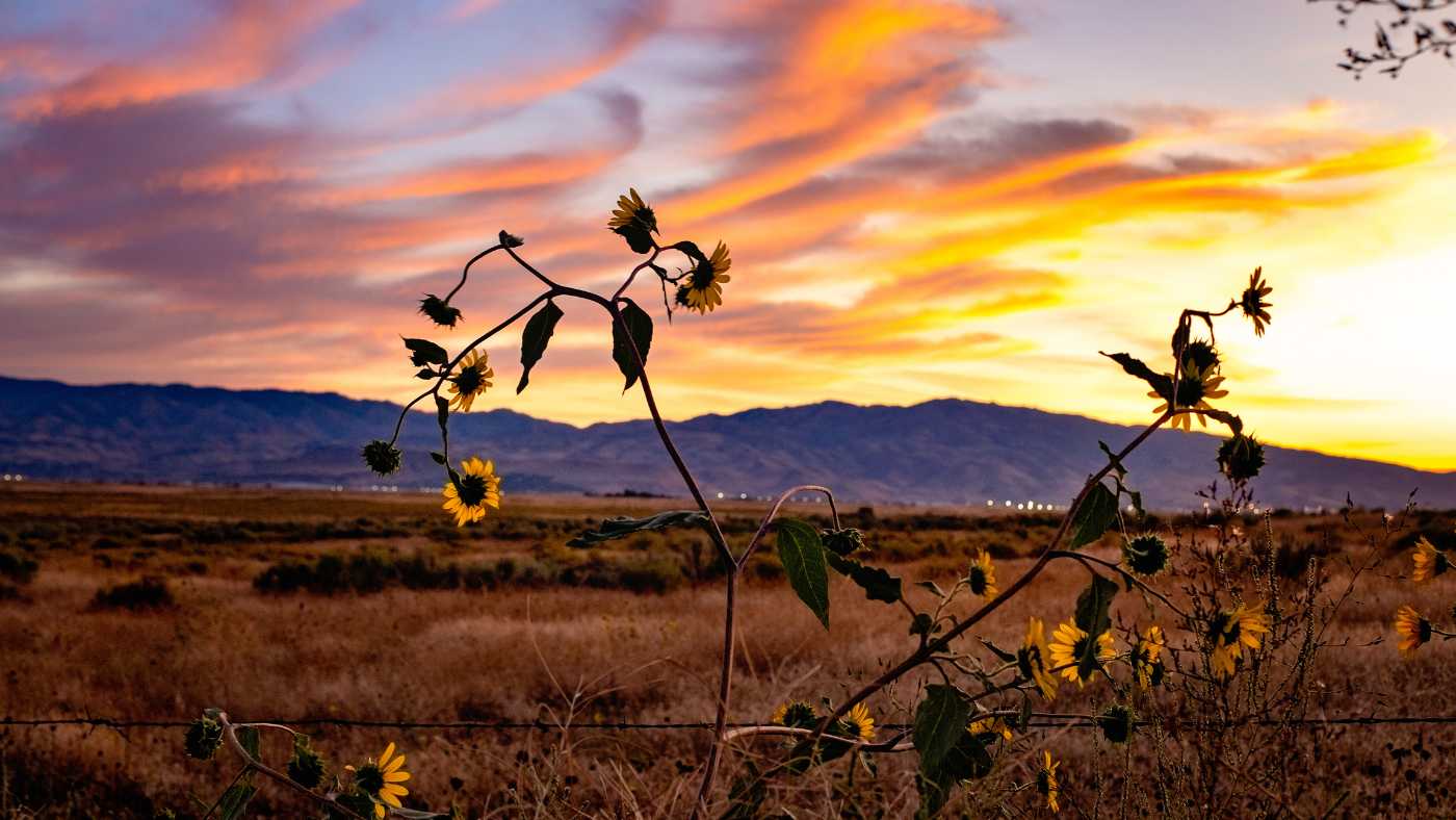 Best Place to Live in Idaho Discover the Top Cities and Towns