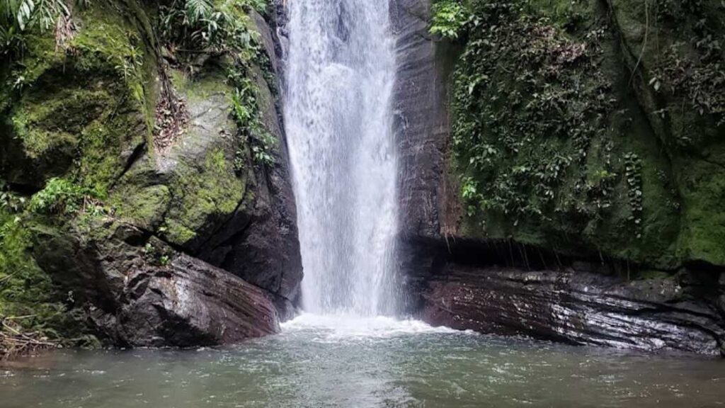 Best Waterfalls In Jamaica