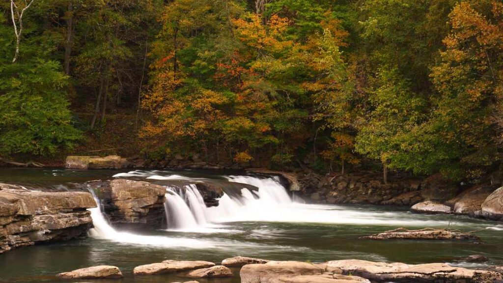 Best Waterfalls In West Virginia