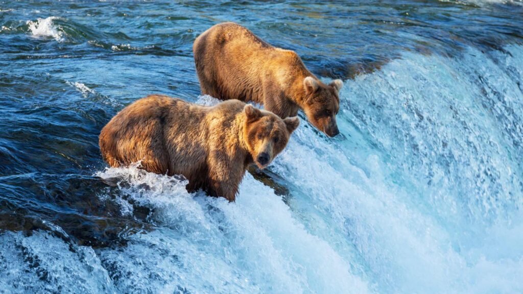 Best Waterfalls In Alaska