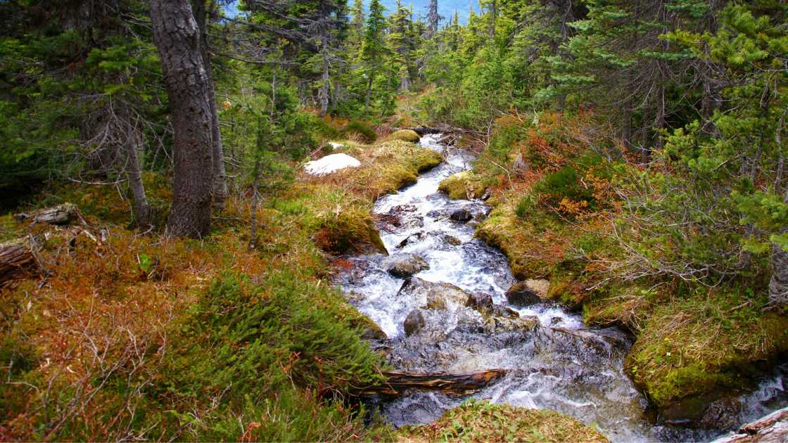 10 Best Waterfalls in Raleigh, NC