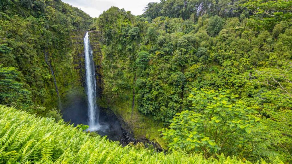 Best Waterfalls in Hawaii