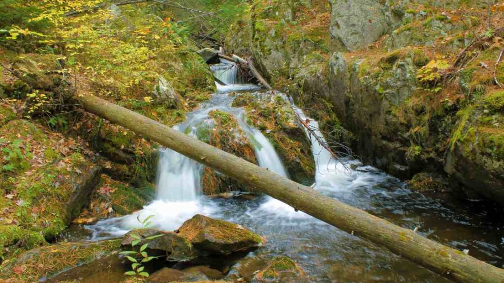 Best Waterfalls In Michigan