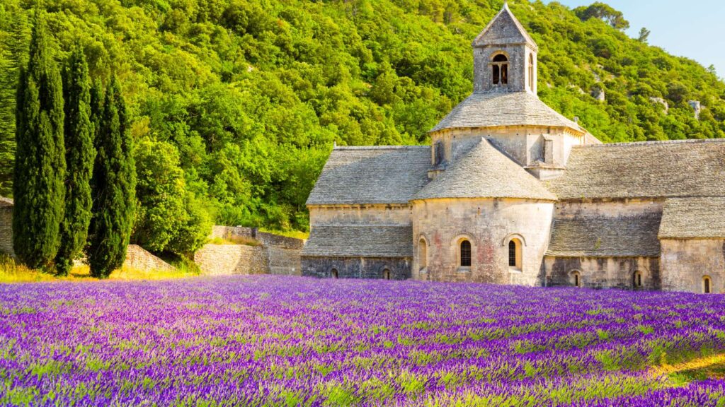 Best Attractions in France