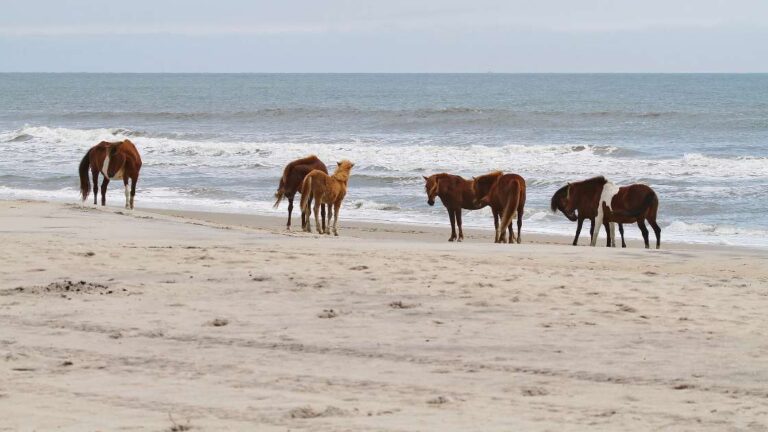 30 Must-Visit Clear Water Beaches in the USA