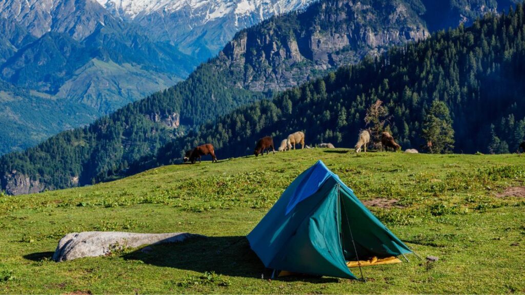 best tour packages for kullu manali